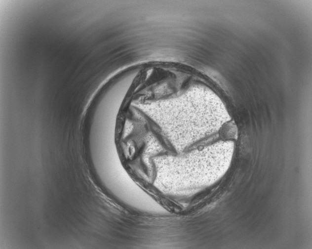 X0000070190926200606232009