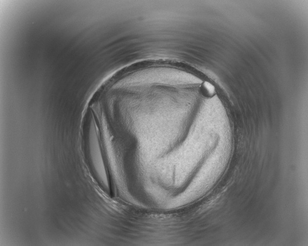 X0000070190927200606232009