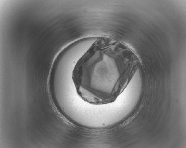 X0000070190928200606232009