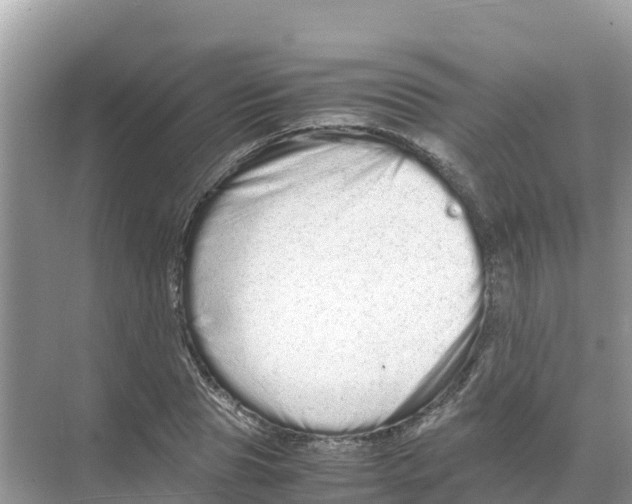 X0000070190929200606232009