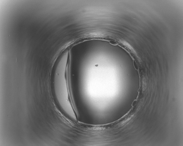 X0000070190930200606232009