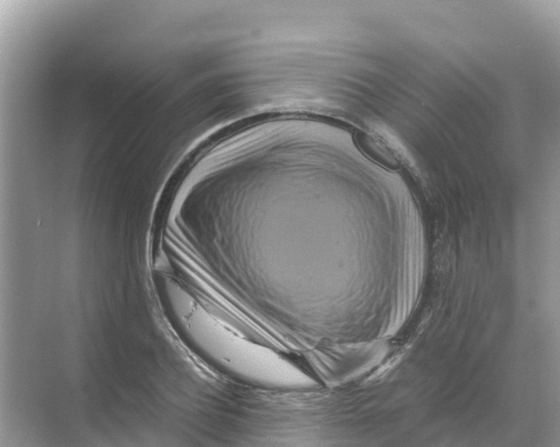 X0000070190932200606232009