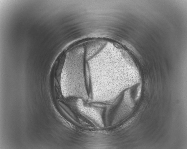 X0000070190934200606232009