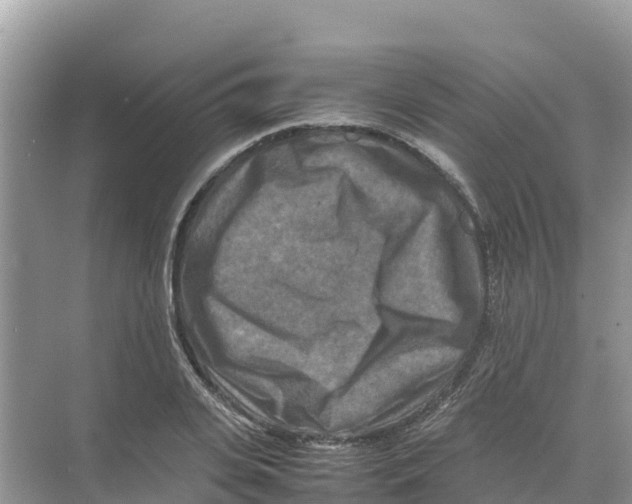 X0000070190935200606232009