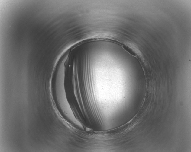 X0000070190936200606232009