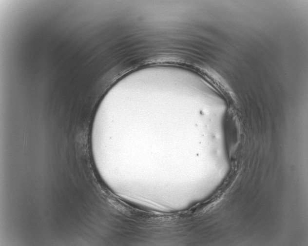 X0000070190937200606232009