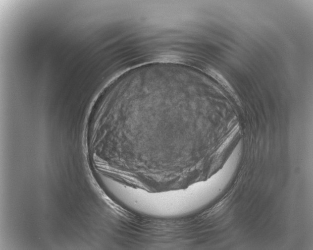 X0000070190939200606232009