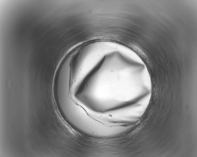 X0000070190940200606232009