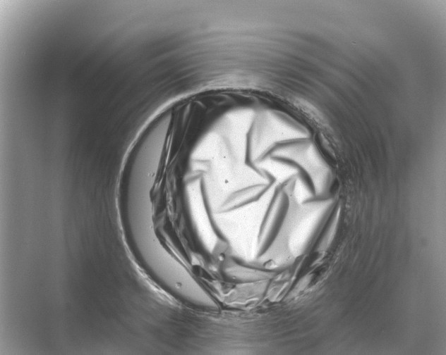 X0000070190942200606232009