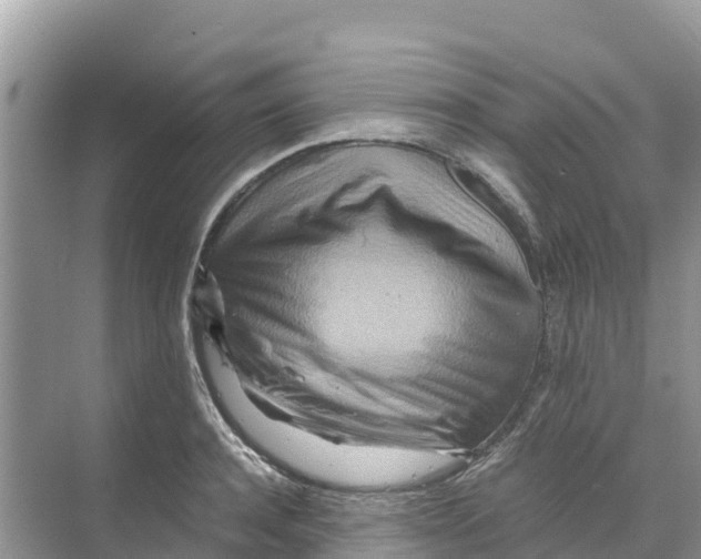 X0000070190944200606232009