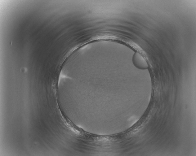 X0000070190945200606232009