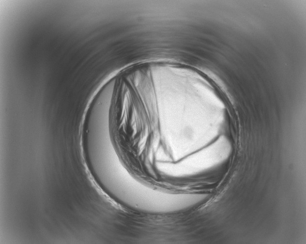 X0000070190949200606232009