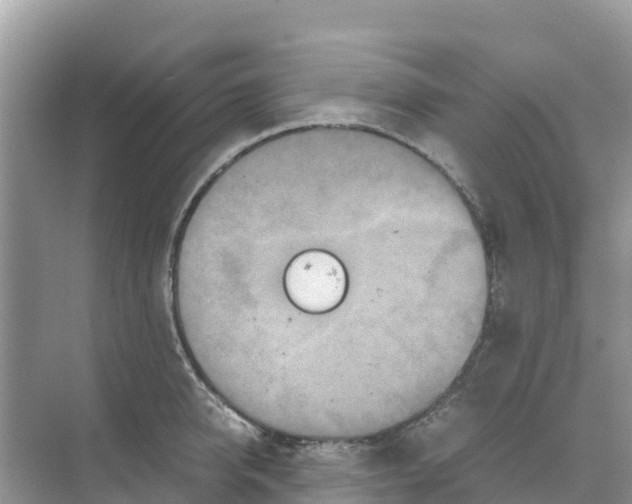 X0000070190950200606232009