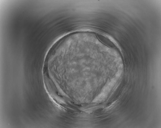 X0000070190951200606232009