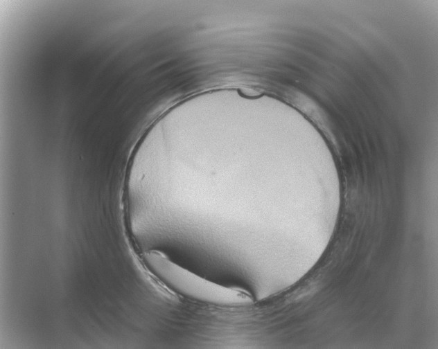 X0000070190954200606232009