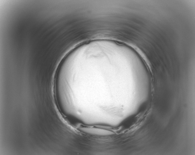 X0000070190957200606232009