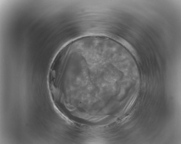 X0000070190958200606232009