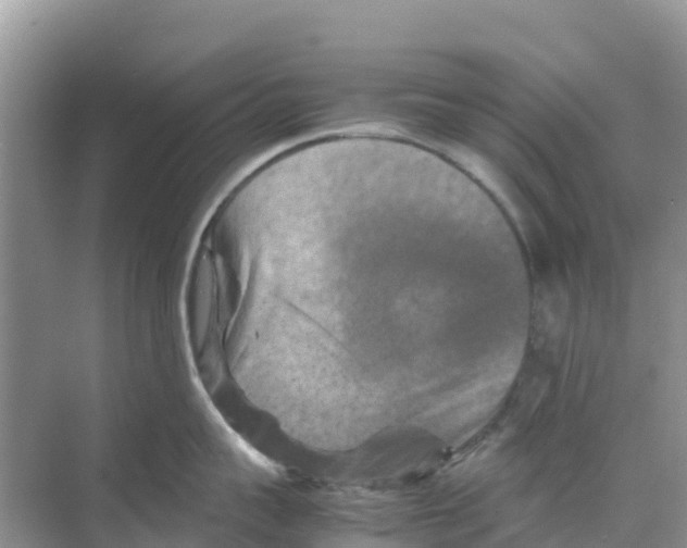 X0000070190959200606232009