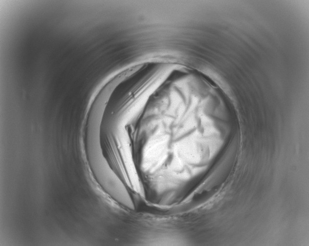 X0000070190960200606232009