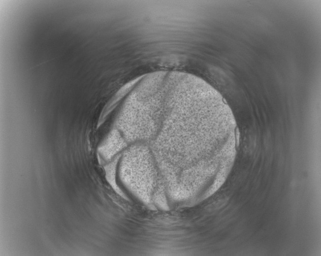 X0000070190962200606232008