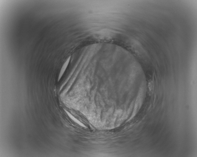 X0000070190963200606232008