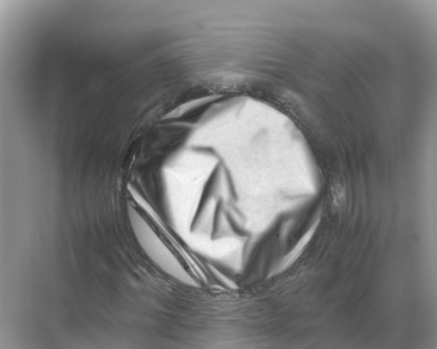 X0000070190964200606232008