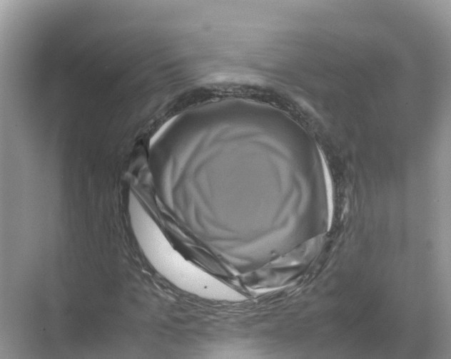 X0000070190965200606232008