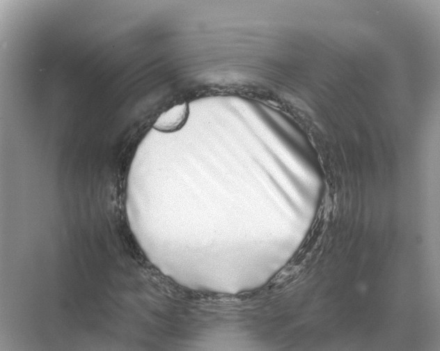 X0000070190966200606232008