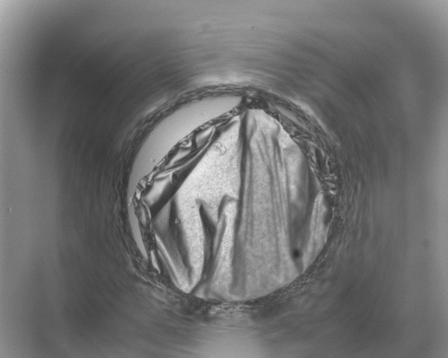 X0000070190967200606232008