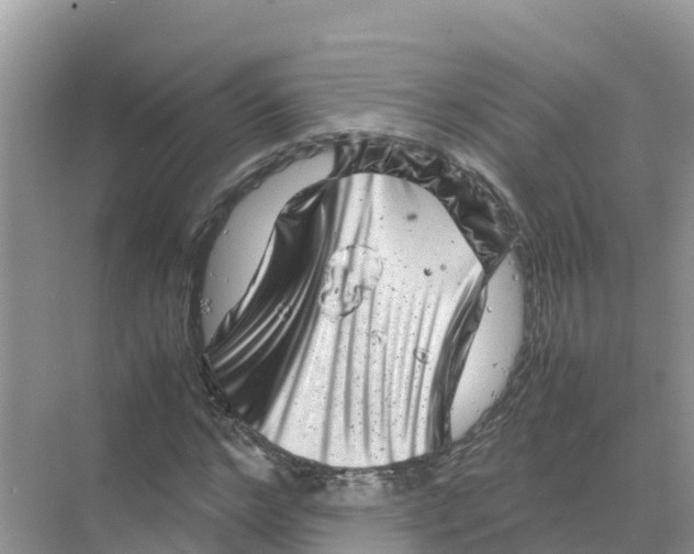 X0000070190968200606232008