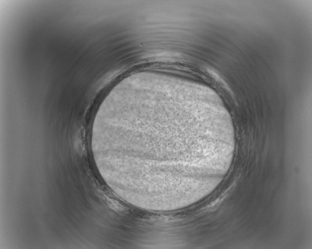 X0000070190970200606232008