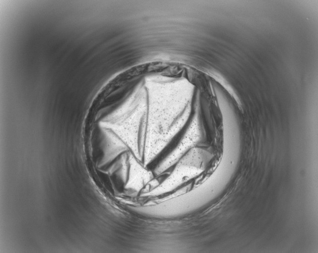 X0000070190972200606232008