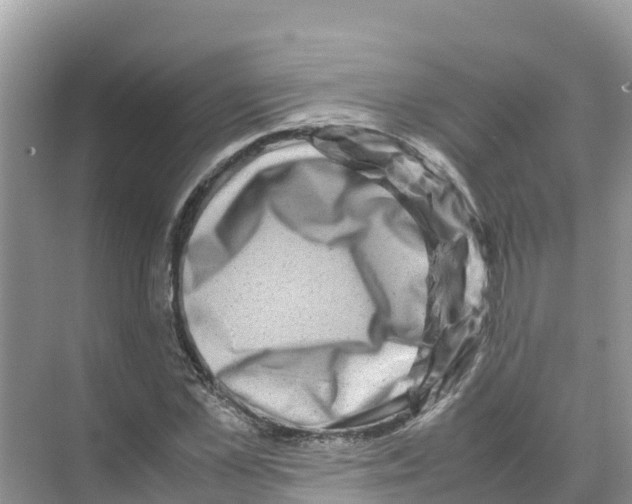 X0000070190973200606232008