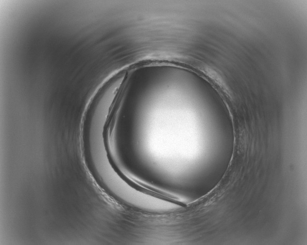 X0000070190976200606232008