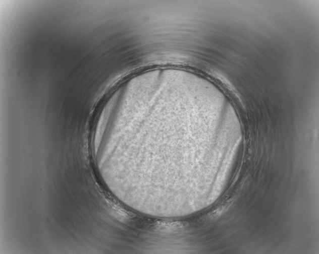 X0000070190978200606232008