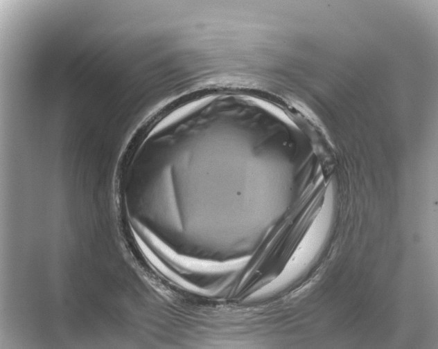 X0000070190981200606232008