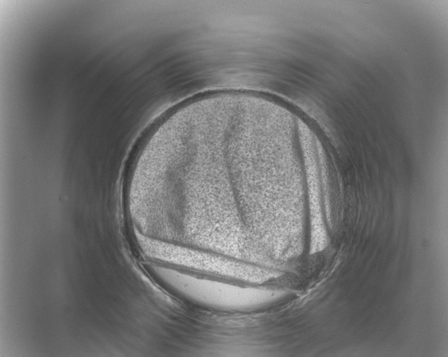 X0000070190982200606232008