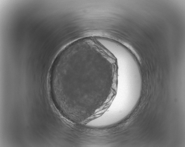 X0000070190983200606232008