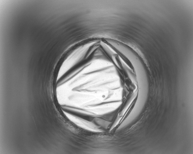 X0000070190984200606232008