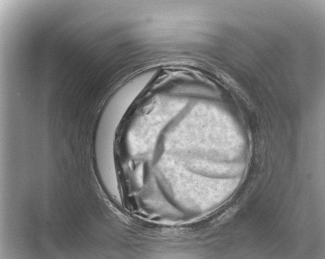 X0000070190985200606232008