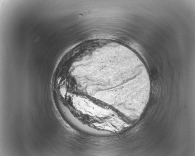 X0000070190987200606232008