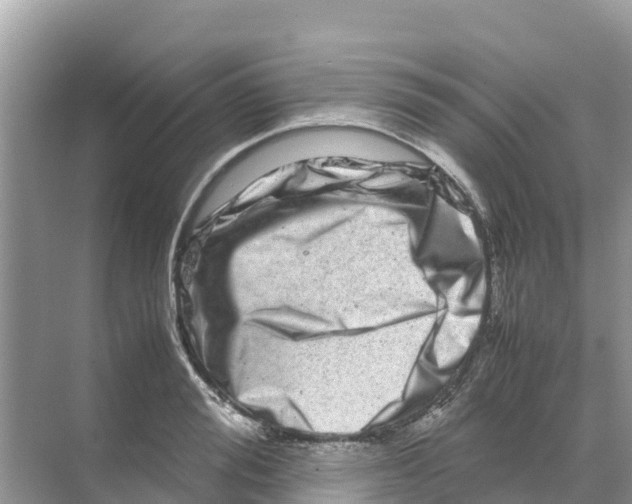 X0000070190988200606232008