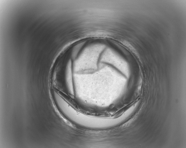 X0000070190989200606232008