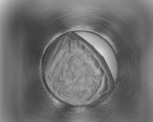 X0000070190990200606232008