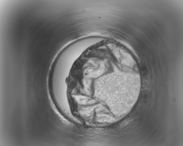 X0000070190991200606232008