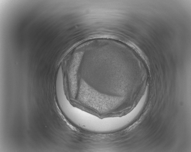 X0000070190993200606232008