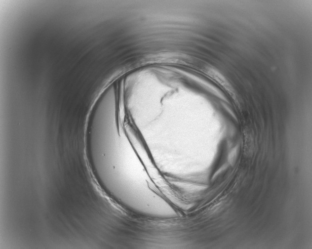 X0000070190994200606232008