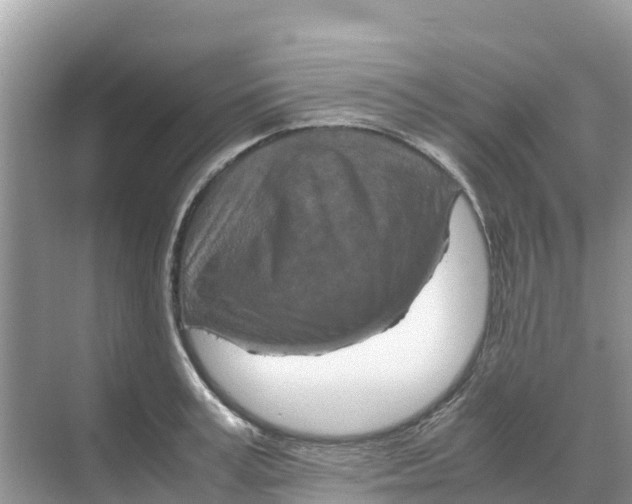 X0000070190995200606232008