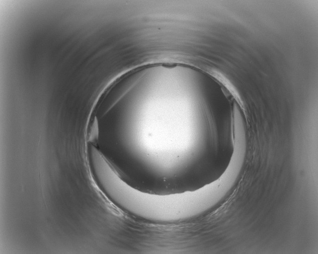 X0000070190996200606232008