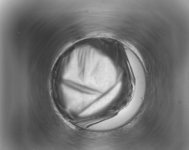 X0000070190997200606232008